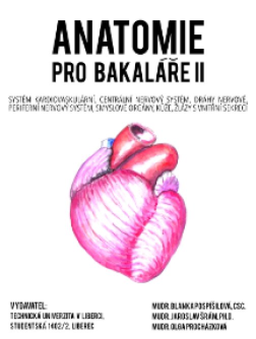 Anatomie pro bakaláře II