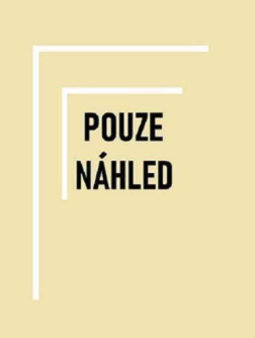 Školy s českým srdcem